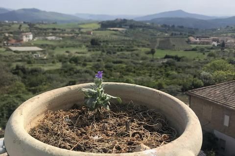Byhus i Cianciana, Agrigento, Cianciana - € 110.000 | Ref: Casa Nunzia - foto 5